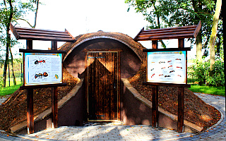 To pierwszy taki obiekt w Polsce. W Welskim Parku Krajobrazowym powstało mrowisko edukacyjne To pierwszy taki obiekt w Polsce. W Welskim Parku Krajobrazowym powstało mrowisko edukacyjne